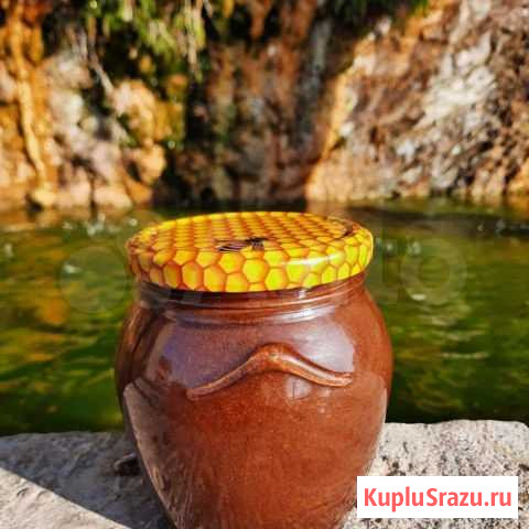 Мёд натуральный Краснодар - изображение 1