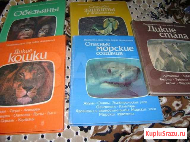 Удивительный мир диких животных Тверь - изображение 1