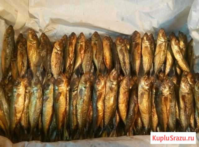 Ставрида крупная копченая, 15+ Доставка Сочи - изображение 1