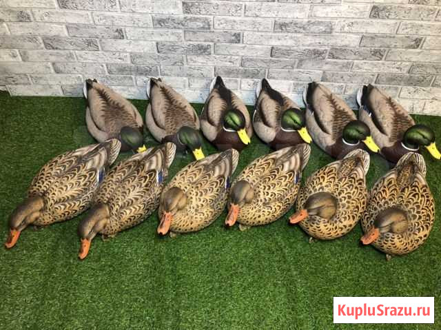 Кряква XD Pro-Grade Москва - изображение 1