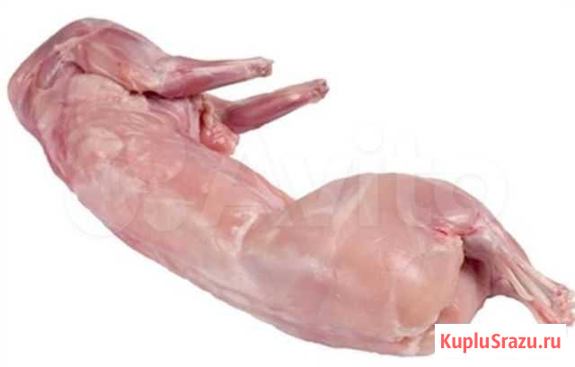 Мясо кролика домашнего Киселевск - изображение 1