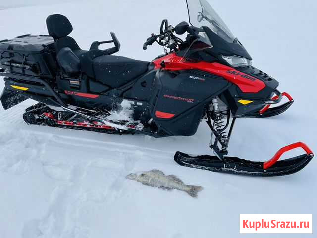 Снегоход SKI-DOO expedition SE 900 ACE turbo 2020г Саратов - изображение 1