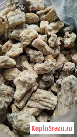 Ароматическая Смола Дерева Шал (shorea robusta) Ставрополь - изображение 1
