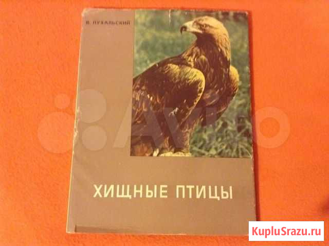 Книга Хищные птицы Вл. Пухальский Нижний Новгород - изображение 1