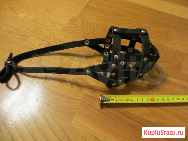 Намордник для собаки Санкт-Петербург - изображение 1