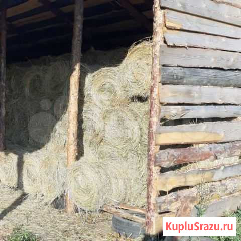 Сено Грязи - изображение 1