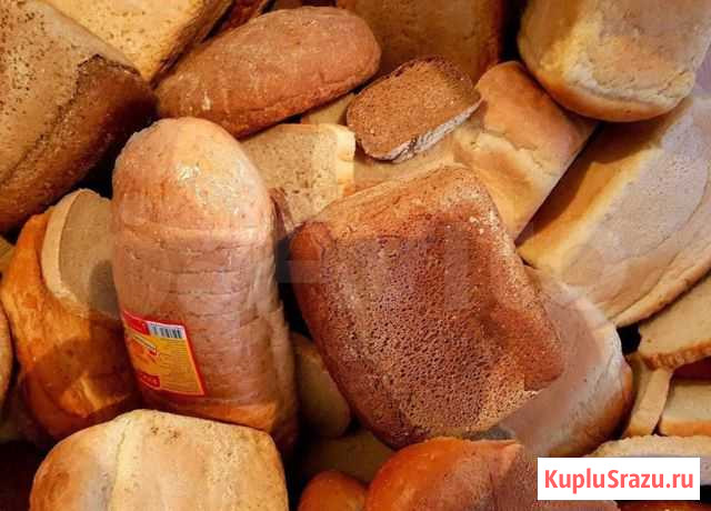 Хлеб Омск - изображение 1
