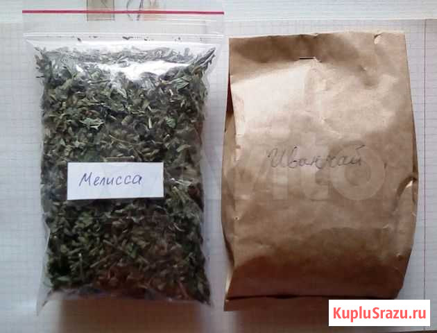 Лекарственные травы Моршанск - изображение 1