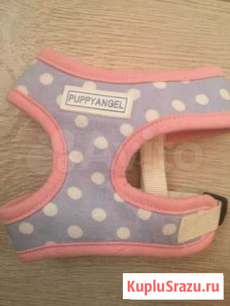 Шлейка Puppy angel Москва - изображение 1