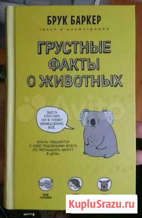Грустные факты о животных Тольятти - изображение 1