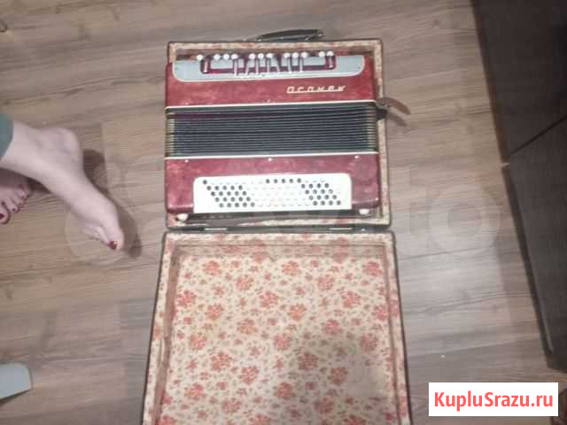 Боян Домодедово - изображение 1