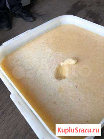 Мед и продукты пчеловодства Кисловодск - изображение 1