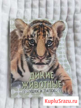 Книга детская Вологда - изображение 1