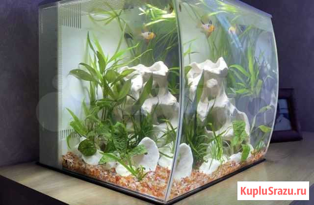 Современный аквариум Fluvol Flex Волгодонск - изображение 1