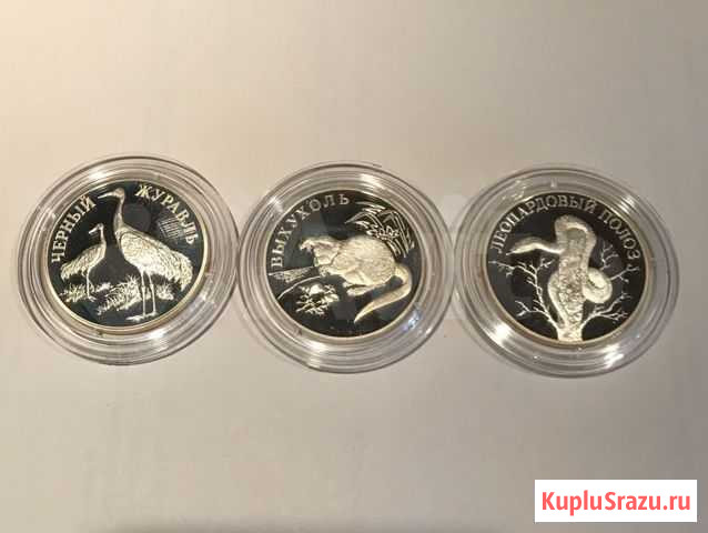 Красная книга 2000 г Тюмень - изображение 1