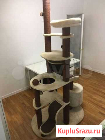 Домик для кошки Москва - изображение 1