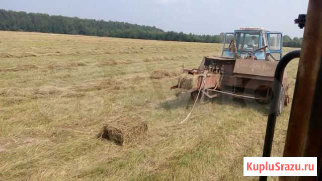 Сено в тюках Богородское - изображение 1