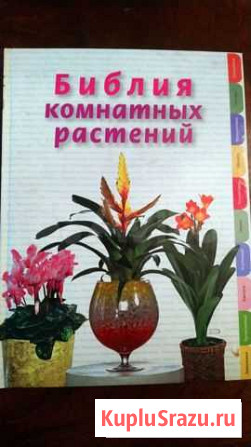 «Библия комнатных растений» Березкина Ирина (200 Иркутск - изображение 1