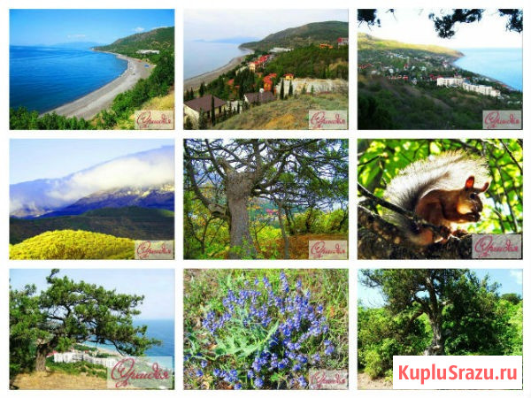 Отдых в Канаке Алушта Крым. Снять жилье Алушта - изображение 4
