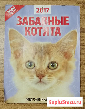 Календари настенные для коллекции Электросталь - изображение 3