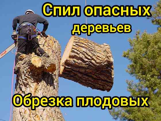 Спил опасных деревьев, обрезка плодовых, расчистка участка Таруса