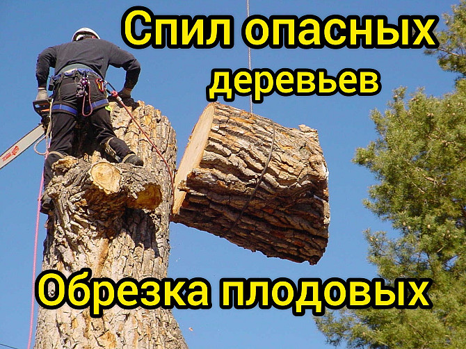 Спил опасных деревьев, обрезка плодовых, расчистка участка Таруса - изображение 1