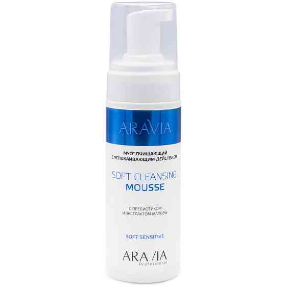 ARAVIA Мусс очищающий с успокаивающим действием Soft Cleansing Mousse, 160мл 