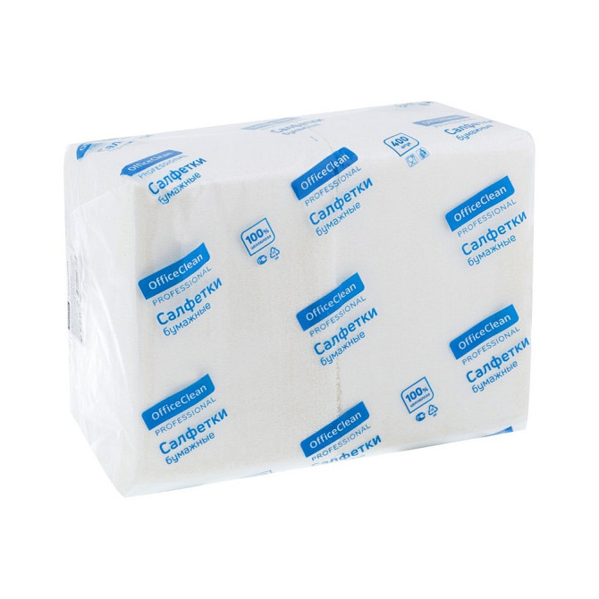 Салфетки бумажные OfficeClean Professional "Profi Pack", 1 слойн, 24*24см, белые, 400шт.  - изображение 1