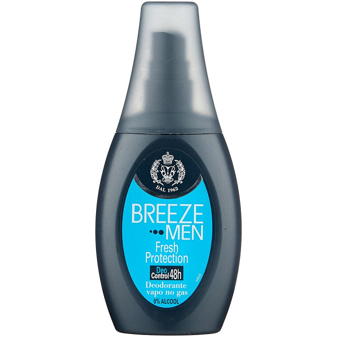 Дезодорант спрей Breeze Fresh Protection 75 мл  - изображение 1