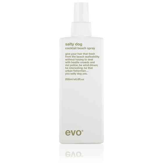 Evo Текстурирующий спрей для волос Salty Dog Salt Spray, слабая фиксация, 50 мл 