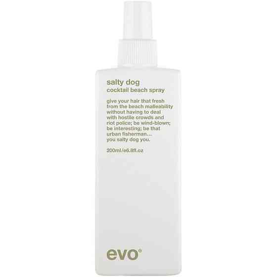 Evo Текстурирующий спрей для волос Salty Dog Salt Spray, слабая фиксация, 50 мл 