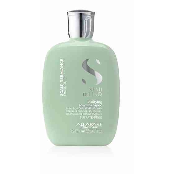 Шампунь очищающий SDL SCALP PURIFYING LOW SHAMPOO, 250 мл 