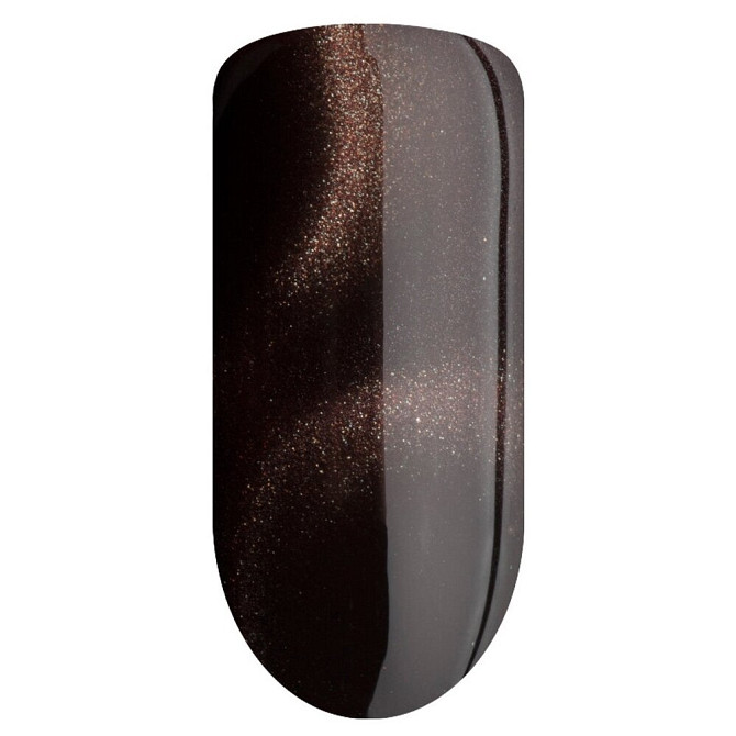 Irisk Professional гель-лак для ногтей Color Diamond Cat, 10 мл, №06  - изображение 1