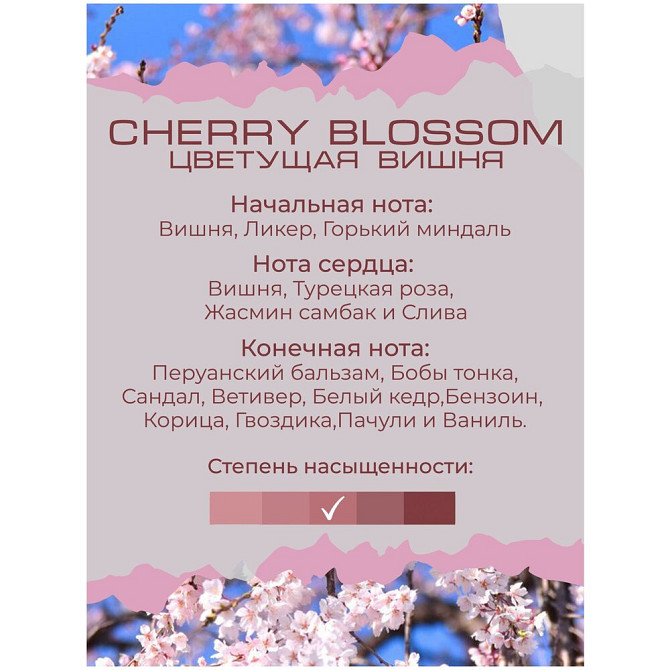 Сыворотка мист для тела BY KAORI спрей для тела парфюмированный, аромат CHERRY BLOSSOM (Цветущая виш  - изображение 2