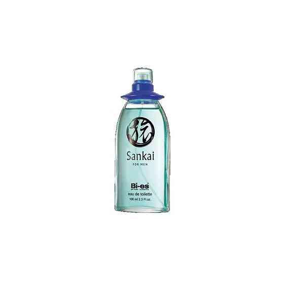 Bi-Es туалетная вода Sankai for Men, 100 мл 