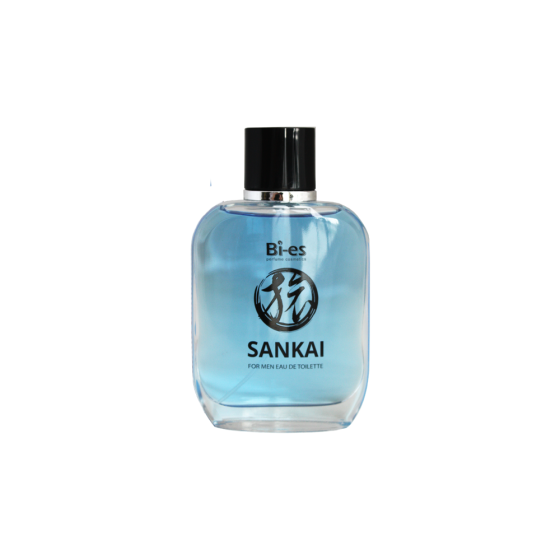 Bi-Es туалетная вода Sankai for Men, 100 мл 