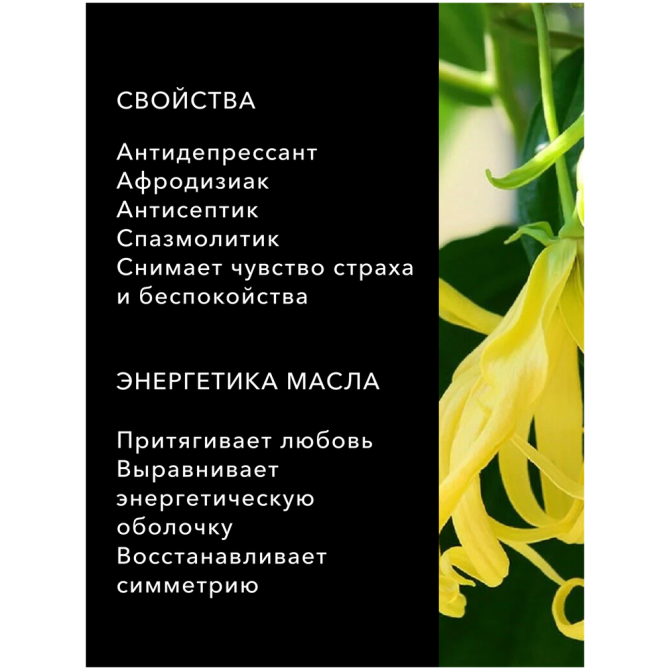 Иланг-Иланг, эфирное масло Vivasan ( Ylang Ylang )  - изображение 2