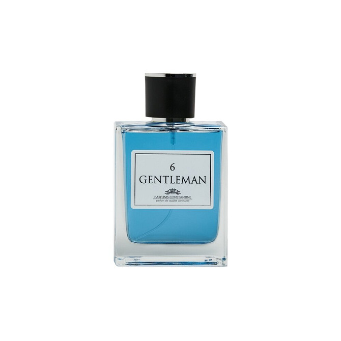 Parfums Constantine туалетная вода Gentleman №6, 100 мл  - изображение 1