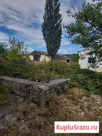 Комплекс консервного завода 2355 м.кв, Белогорск, Крым Белогорск - изображение 3