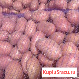 Производитель и прямой поставщик овощей в Алтайском крае Барнаул - изображение 1