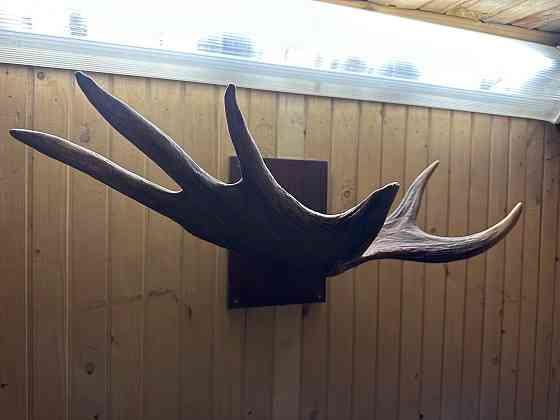 Разное для дачи Архангельск