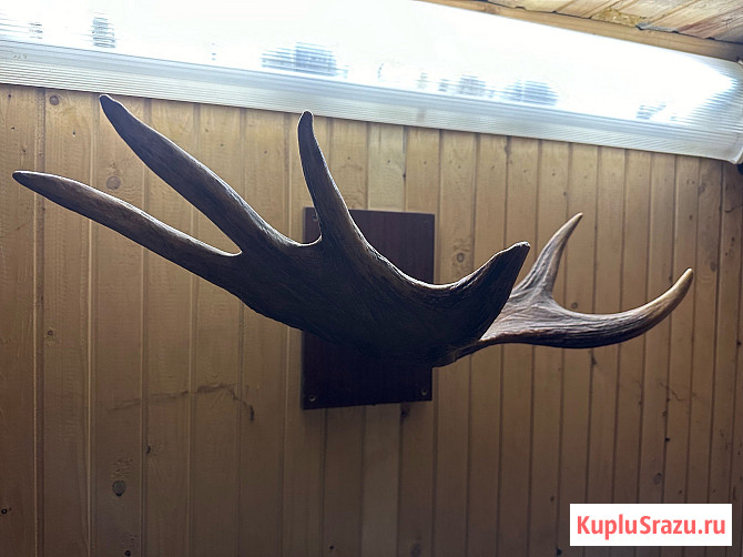 Разное для дачи Архангельск - изображение 4