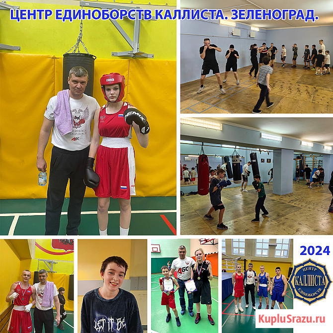 Самые популярные секции Зеленограда в 2025 году Зеленоград - изображение 1