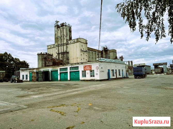 Элеватор 117000 тонн Краснодар - изображение 1