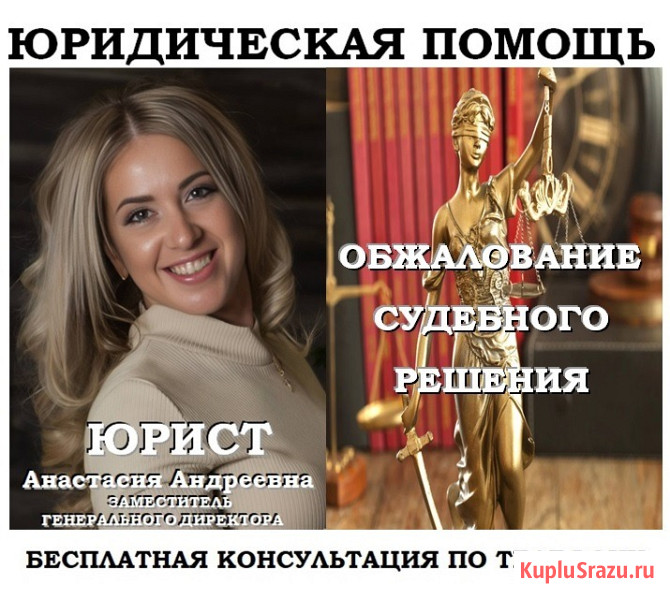 Обжалование решения суда, юридическая помощь Челябинск - изображение 1