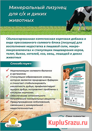 Универсальный лизунец 3кг Балашиха - изображение 1