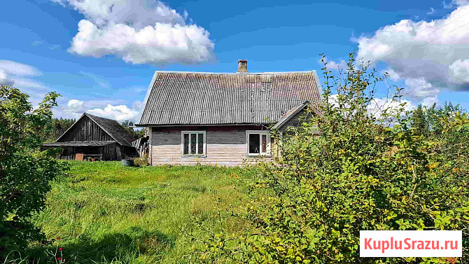 Дом 75 м² на участке 630 сот. на продажу в Печорах Печоры - изображение 4