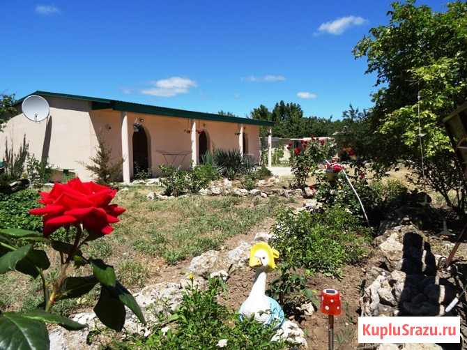 Оленевка Крым жилье у моря снять Черноморское - изображение 1