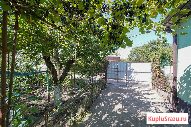 Дом 53 м² на участке 6 сот. на продажу в Краснодаре Краснодар - изображение 3