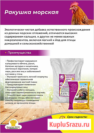 Ракушка морская кальциевая подкормка для кур, голубей и декоративных птиц 1кг Балашиха - изображение 1